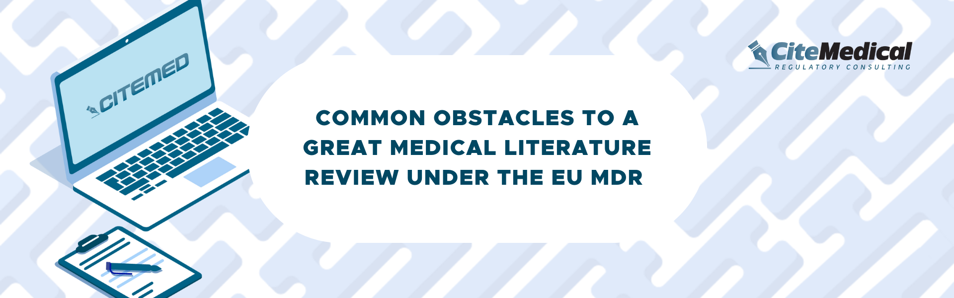medical literature review under the EU MDR
