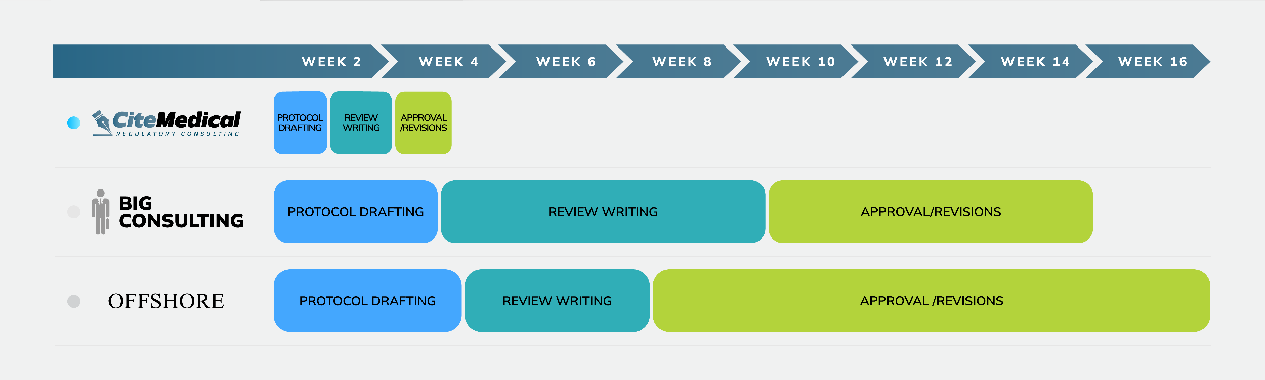 Literature Review